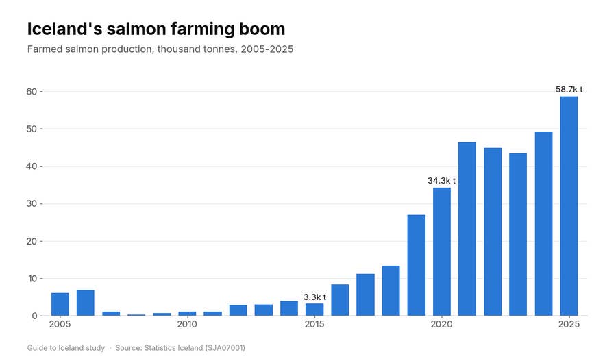 Bar chart of farmed salmon production in Iceland from 2005 to 2025, rising from 3.3 thousand tonnes in 2015 to 58.7 thousand tonnes in 2025