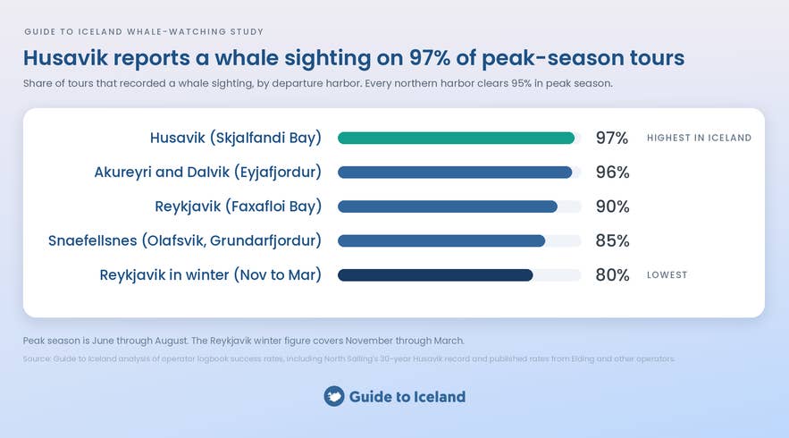 Iceland whale-watching sighting rates by harbor