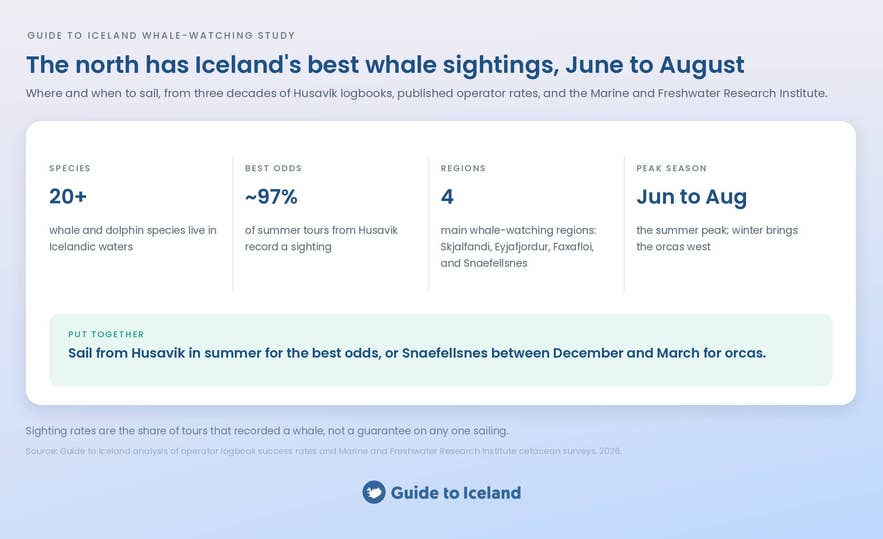 Where to find whales in Iceland: summary of the Guide to Iceland study