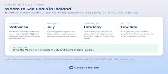 where-to-see-seals-in-iceland-summary-guide-to-iceland.png