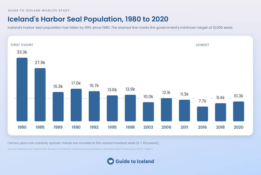 Iceland's harbor seal population from 1980 to 2020