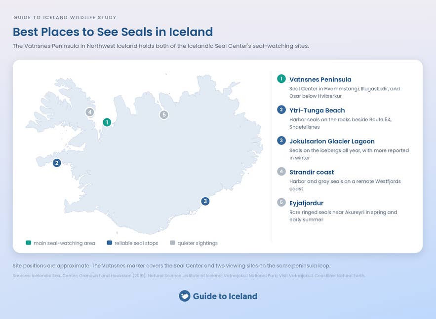Map of the best places to see seals in Iceland, from Vatnsnes to Jokulsarlon