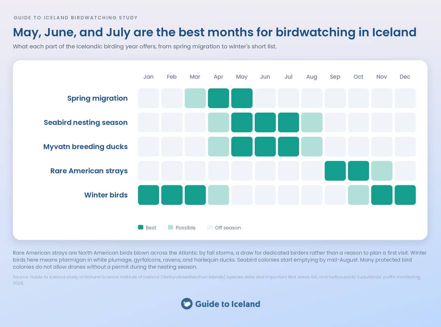 Calendar showing the best months for birdwatching in Iceland by bird group