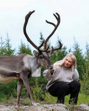 Admission Ticket to the Reindeer Park near Egilsstadir in East Iceland