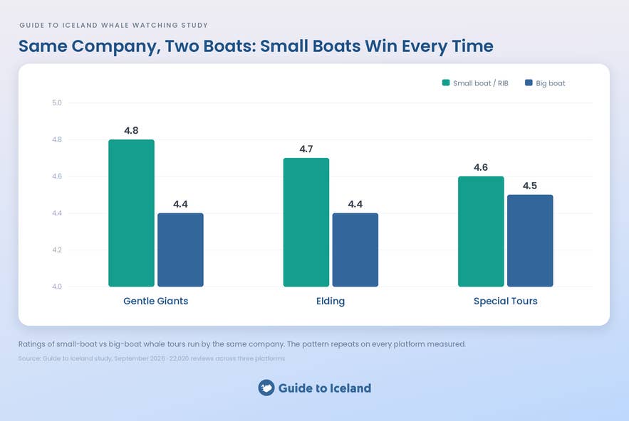 Bar chart comparing small-boat and big-boat whale watching ratings at Gentle Giants, Elding and Special Tours