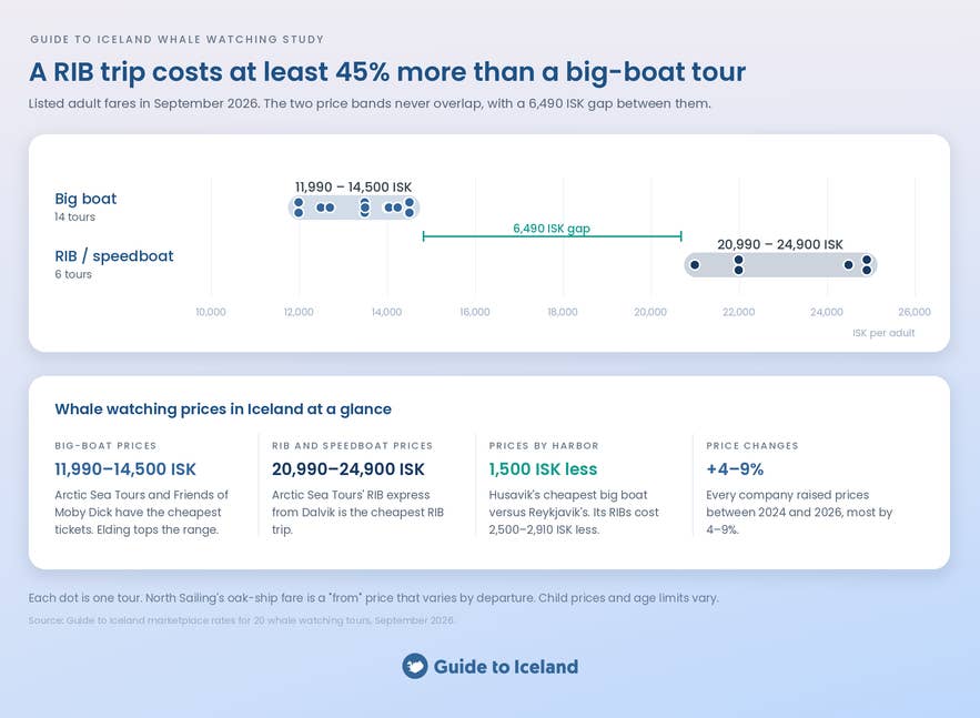 Infographic of whale watching prices in Iceland, comparing big-boat and RIB fares