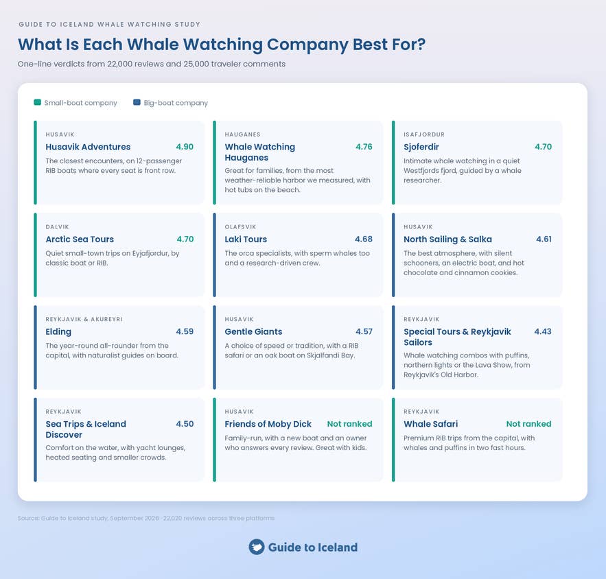 Infographic grid of what each whale watching company in Iceland is best for, with ratings and harbors