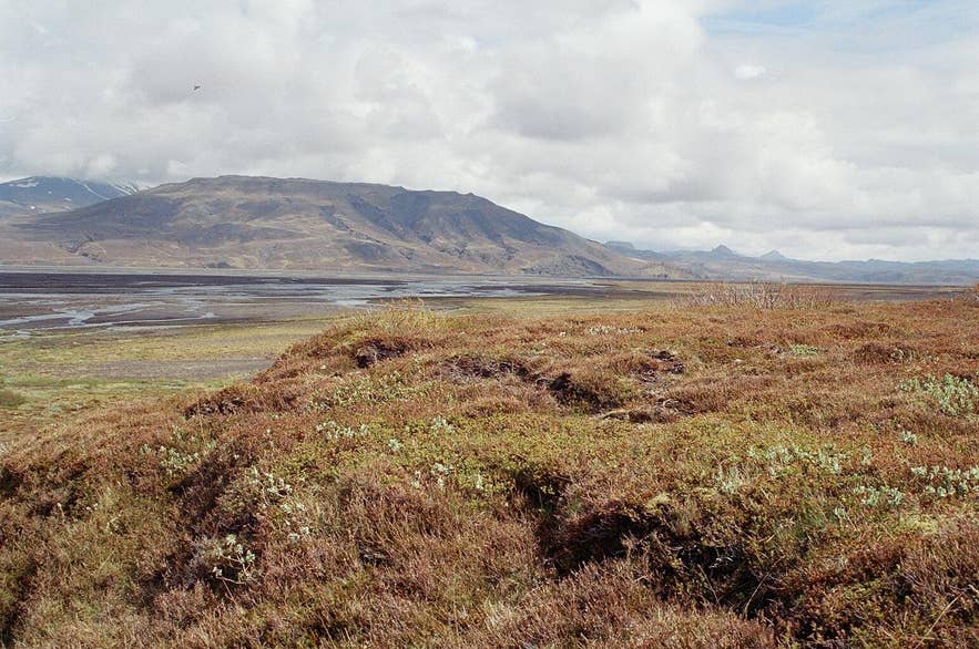 The Markarfljót valley with birch heath in the foreground near Þórsmörk The Markarfljót valley with birch heath in the foreground near Þórsmörk