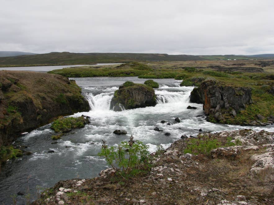 Æðarfossar falls on the Laxá river near Laxamýri, Aðaldalur Æðarfossar falls on the Laxá river near Laxamýri, Aðaldalur