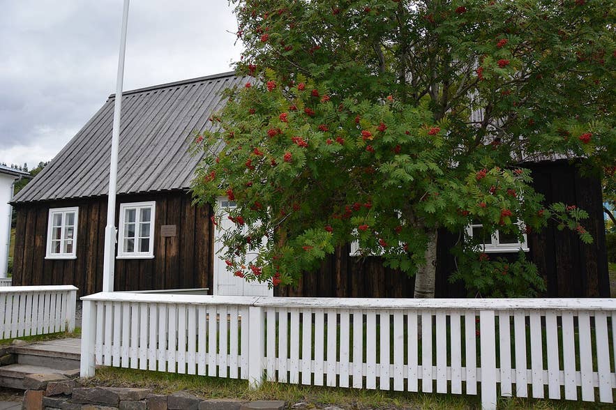 Laxdalshús in Innbærinn, Akureyri, with a rowan tree in berry and white picket fence