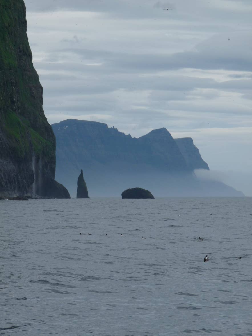 Sea stacks and seabirds below the cliffs between Hornvík and Látravík in Hornstrandir