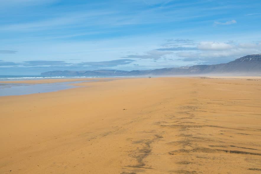 Rauðasandur beach in the Westfjords, reached by the Route 614 road over Skersfjall
