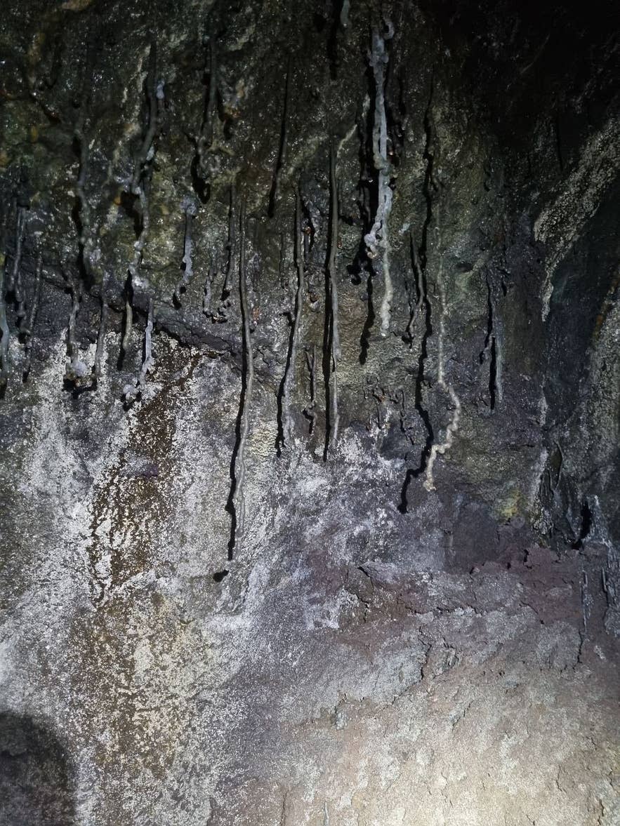 Lava drip formations on the wall of Borgarhellir cave