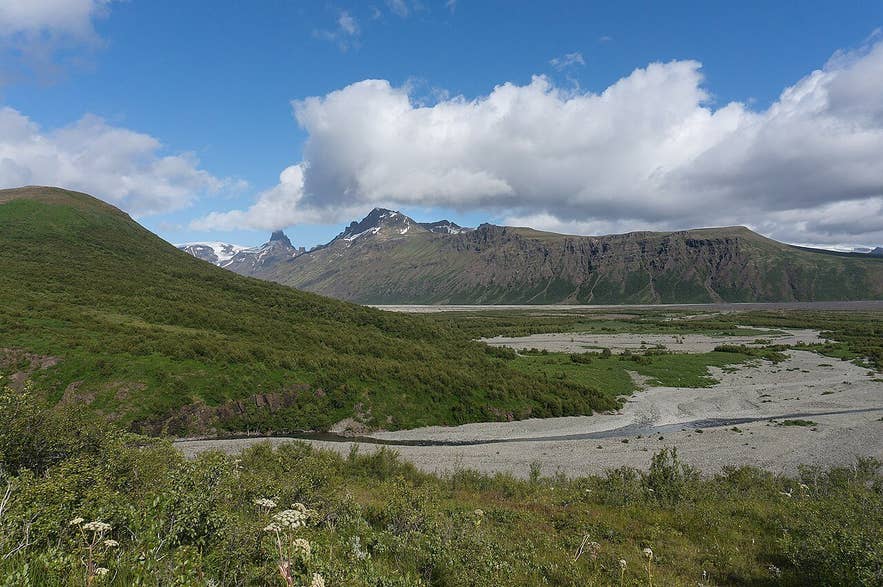 The Morsá river meandering across the floor of Morsárdalur below birch-covered slopes The Morsá river meandering across the floor of Morsárdalur below birch-covered slopes