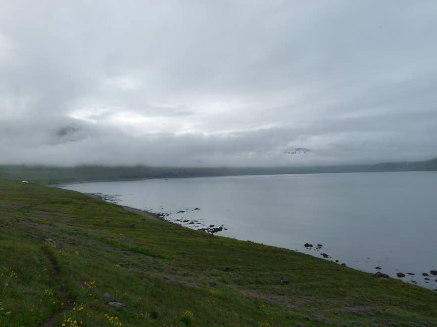 Hornvík bay seen from the grassy slopes of Hornbjarg near Mount Midfell, Hornstrandir Hornvík bay seen from the grassy slopes of Hornbjarg near Mount Midfell, Hornstrandir