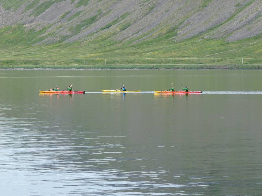 Sea kayaks on the Jökulfirðir fjords, Hornstrandir, the way to reach Sópandi cove
