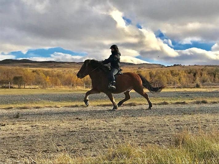 Autumn riding on the gravel flats at Vindheimamelar, Skagafjörður