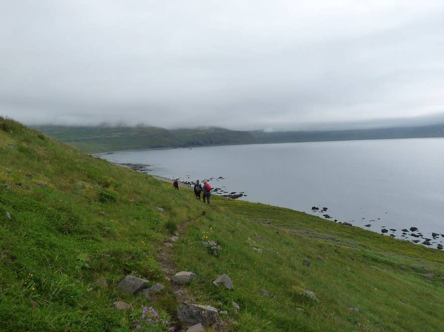 Hornvík bay seen from the slopes of Hornbjarg with hikers on the trail Hornvík bay seen from the slopes of Hornbjarg with hikers on the trail