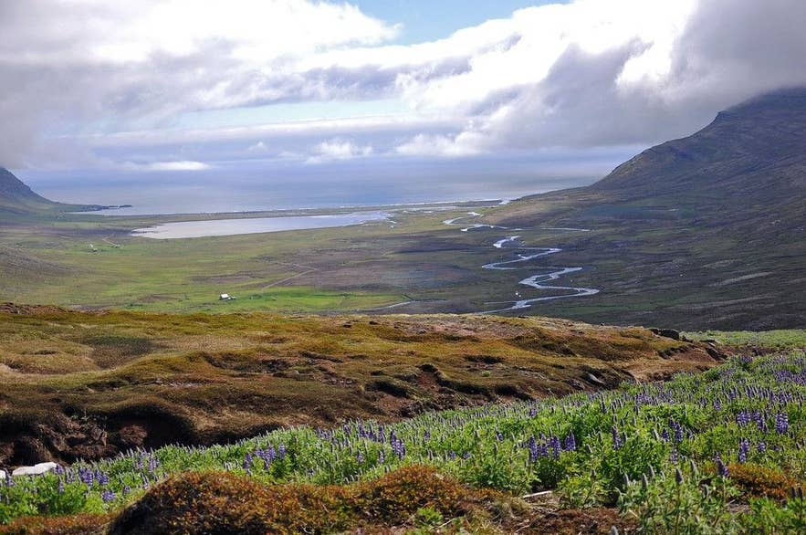 View from Route 958 on Vöðlavíkurheiði down to Vöðlavík bay and its surrounding mountains View from Route 958 on Vöðlavíkurheiði down to Vöðlavík bay and its surrounding mountains