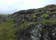 Galgahraun Lava Field