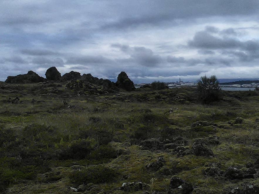 Lava pillars and heath in Gálgahraun lava field on Álftanes