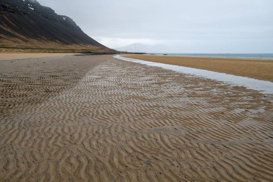 Sandy shore of Barðaströnd near Grjótnes looking over Breiðafjörður Sandy shore of Barðaströnd near Grjótnes looking over Breiðafjörður
