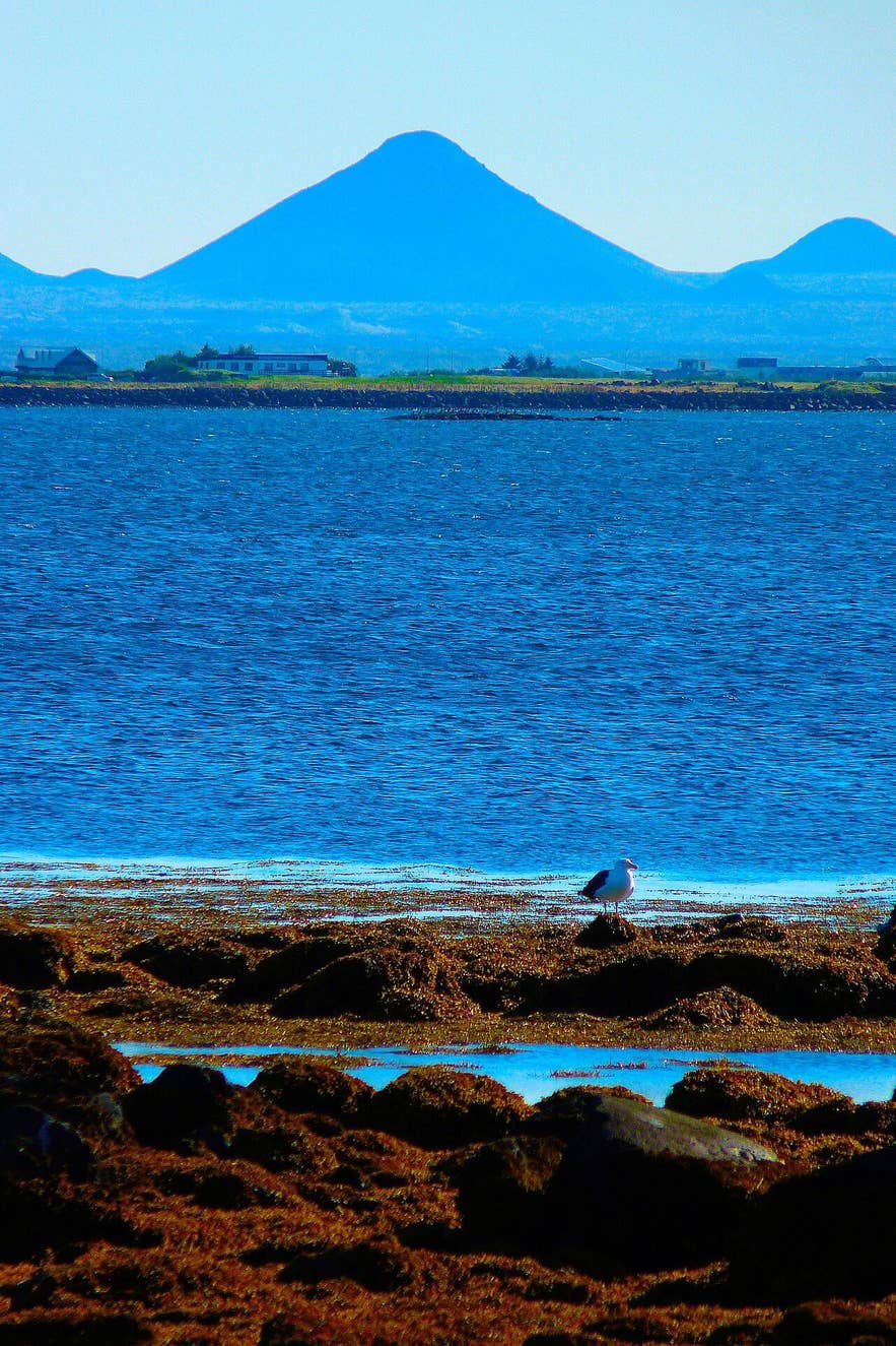 View south across Skerjafjörður from the Ægisíða shore in Reykjavík