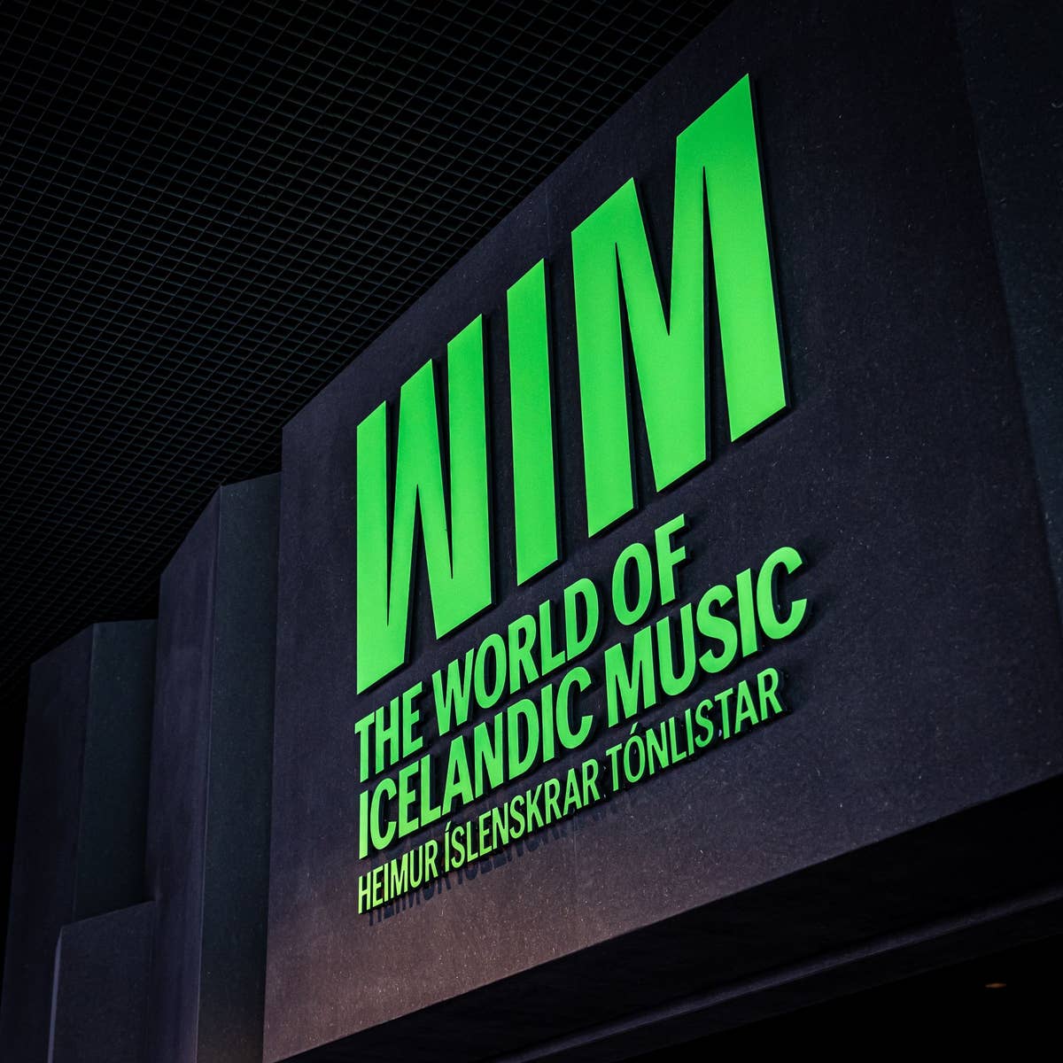 The World of Icelandic Music Admission Ticket at Harpa Concert Hall