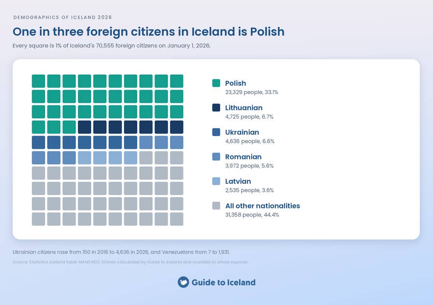 Square grid showing that one in three foreign citizens in Iceland is Polish