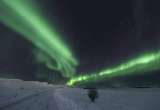 Private Northern Lights Tour by Minibus from Reykjavik