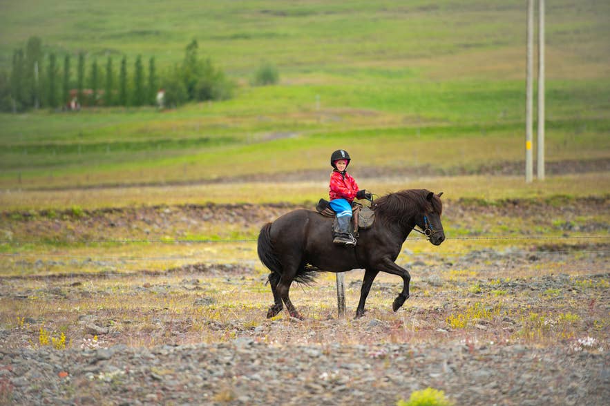 Un garçon à cheval dans une ferme rurale en Islande.