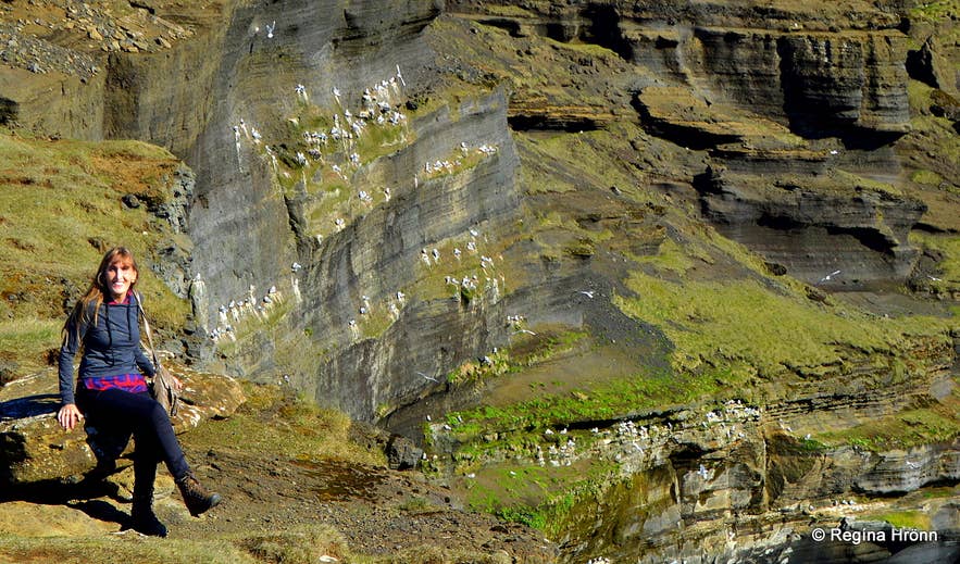 Krýsuvíkurberg, Rauðaskriða & Selalda on the Reykjanes Peninsula