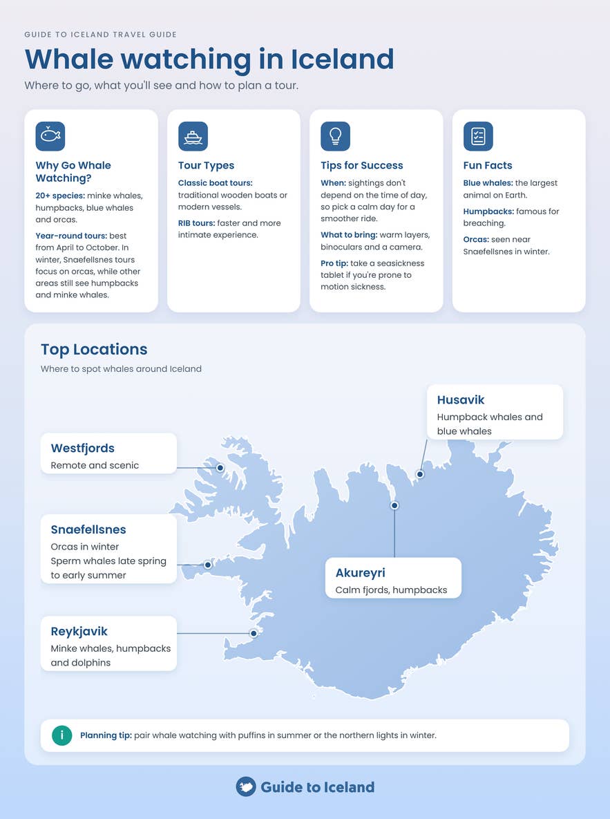 Infographic map of whale watching spots in Iceland: Reykjavik, Snaefellsnes Peninsula, Westfjords, Akureyri and Husavik