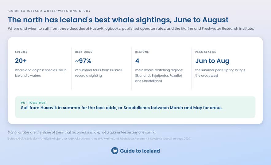 Infographic summarizing where and when to see whales in Iceland, with Husavik best in summer and Snaefellsnes best for orcas from March to May