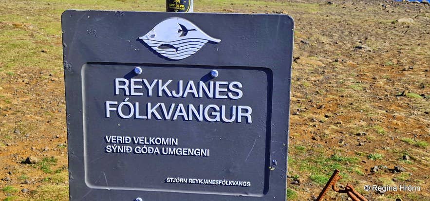 Krýsuvíkurberg, Rauðaskriða & Selalda on the Reykjanes Peninsula