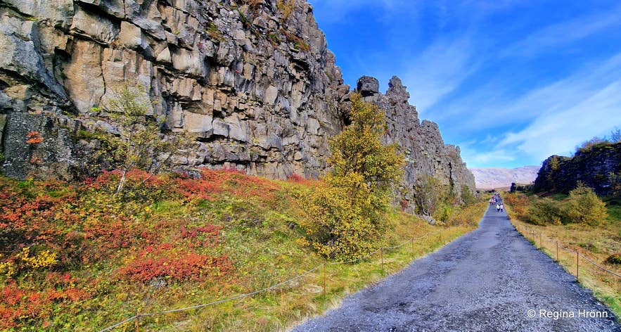 Almannagjá gorge Þingvellir national park Almannagjá gorge Þingvellir national park