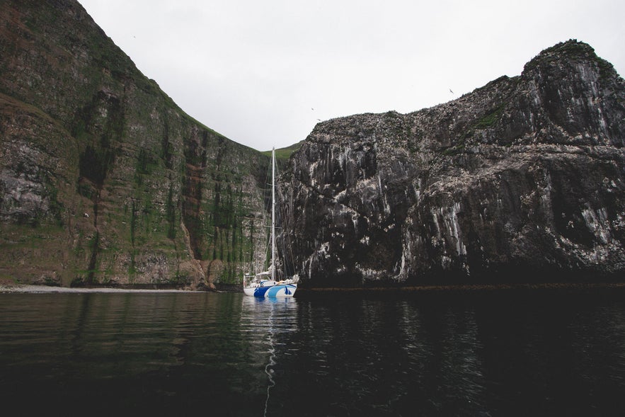 Top 11 Highlights of the Westfjords Summer Season