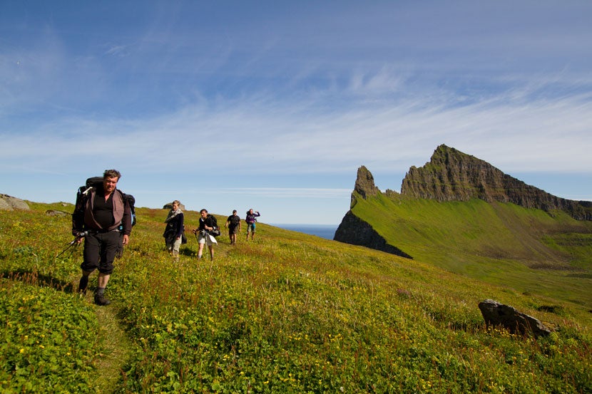 Top 11 Highlights of the Westfjords Summer Season