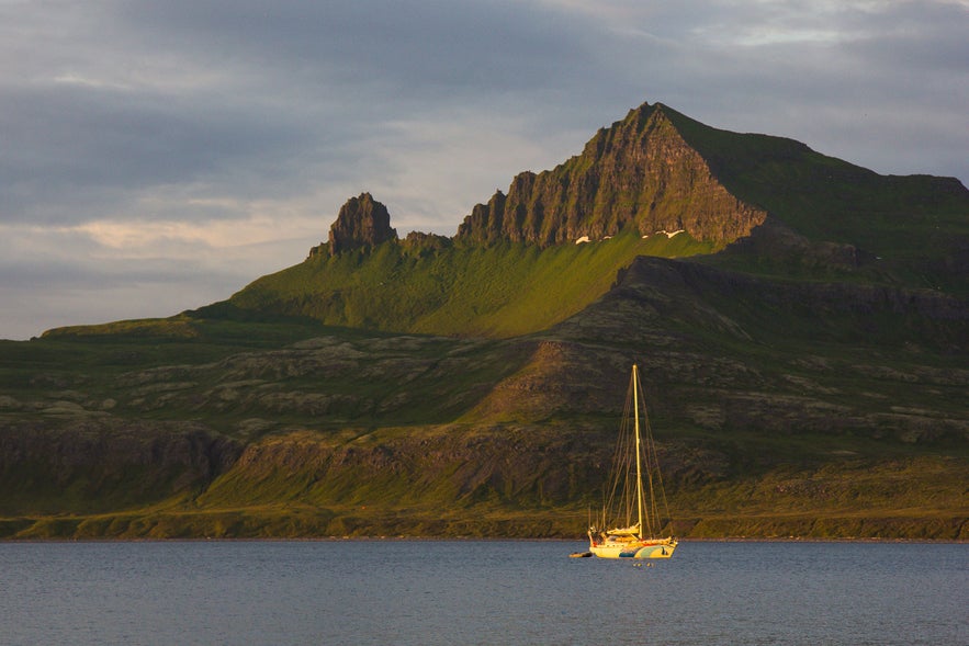 Top 11 Highlights of the Westfjords Summer Season