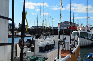 Stary Port w Reykjaviku jest szczególnie malowniczy w słoneczne, letnie dni na Islandii.