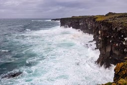 Hafnaberg in Iceland features jagged cliffs constantly pounded by mighty North Atlantic waves.