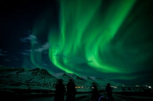 Travelers enjoying the swirling visual spectacle of the northern lights.