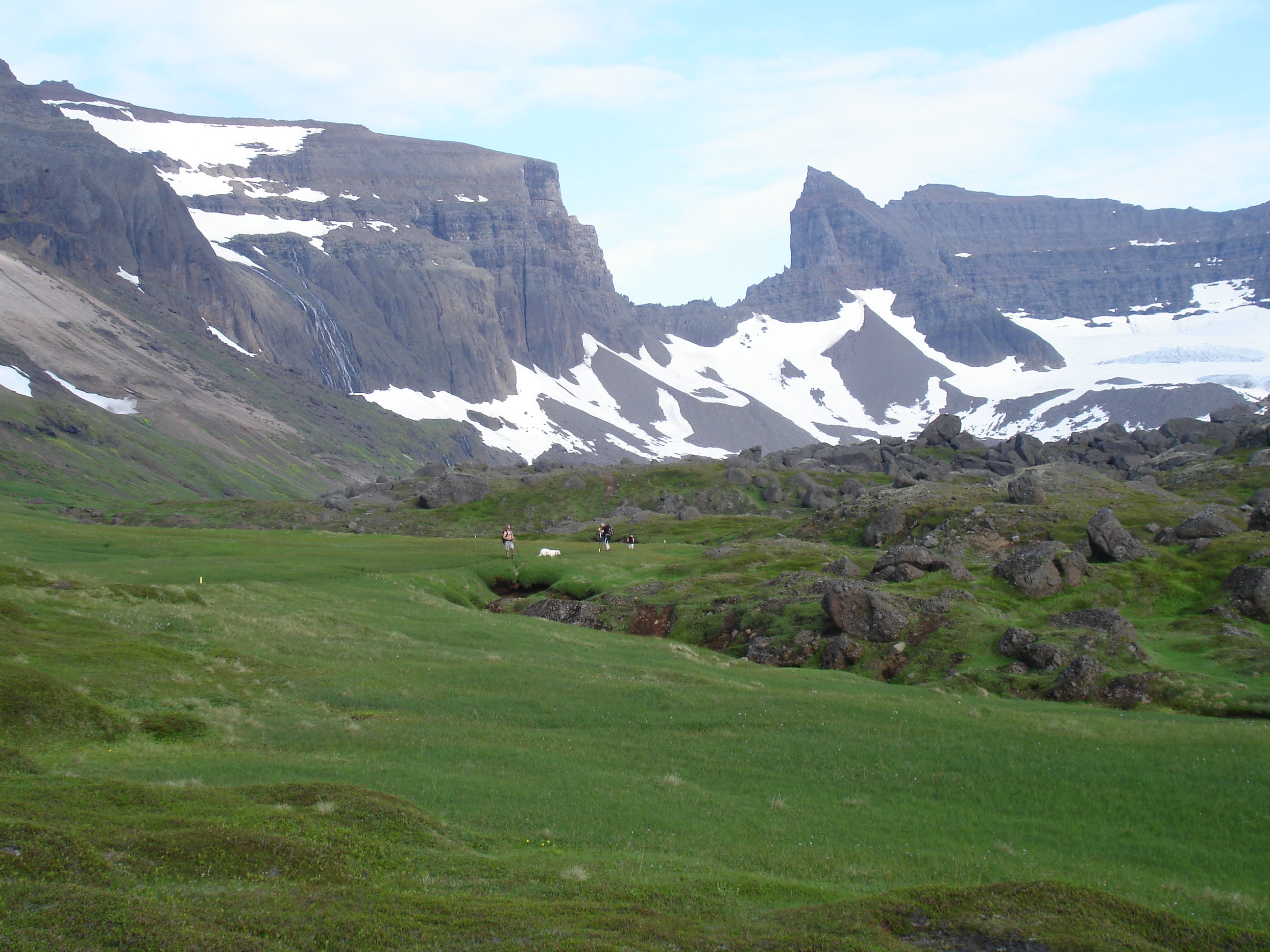 Lush great areas in Stórurð with snow covered peaks in the background