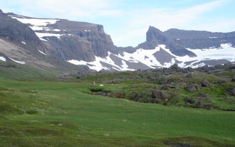 Lush great areas in Stórurð with snow covered peaks in the background