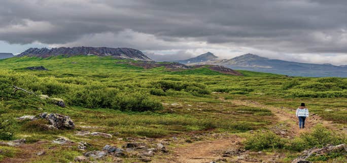 SIM Cards and eSIMs in Iceland: The Ultimate Guide