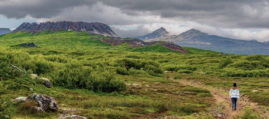 eldborg crater snaefellsnes volcano grass hikin.jpg