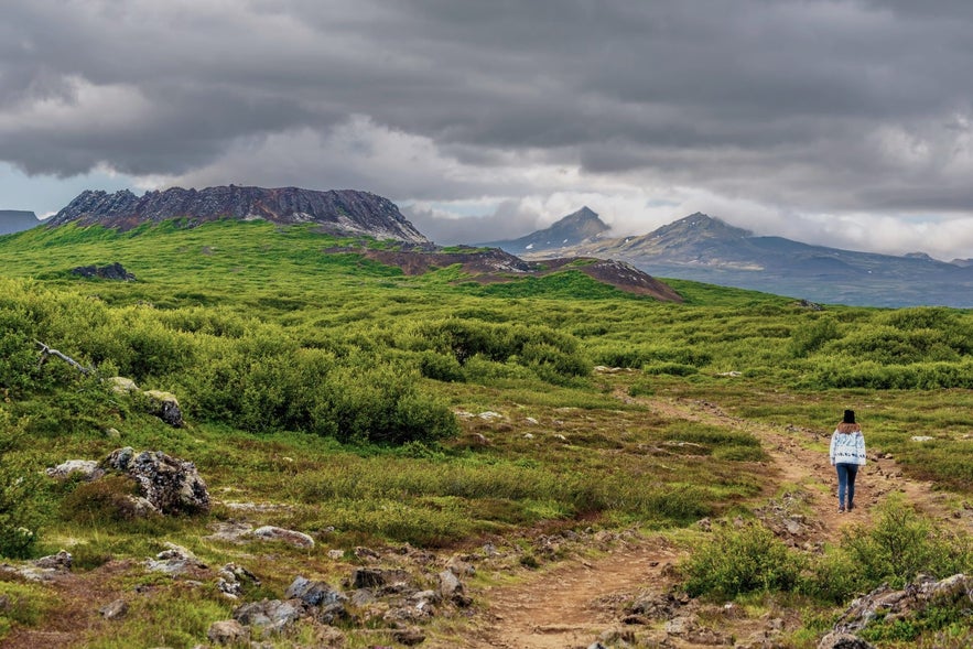 Explore the Icelandic nature without worry