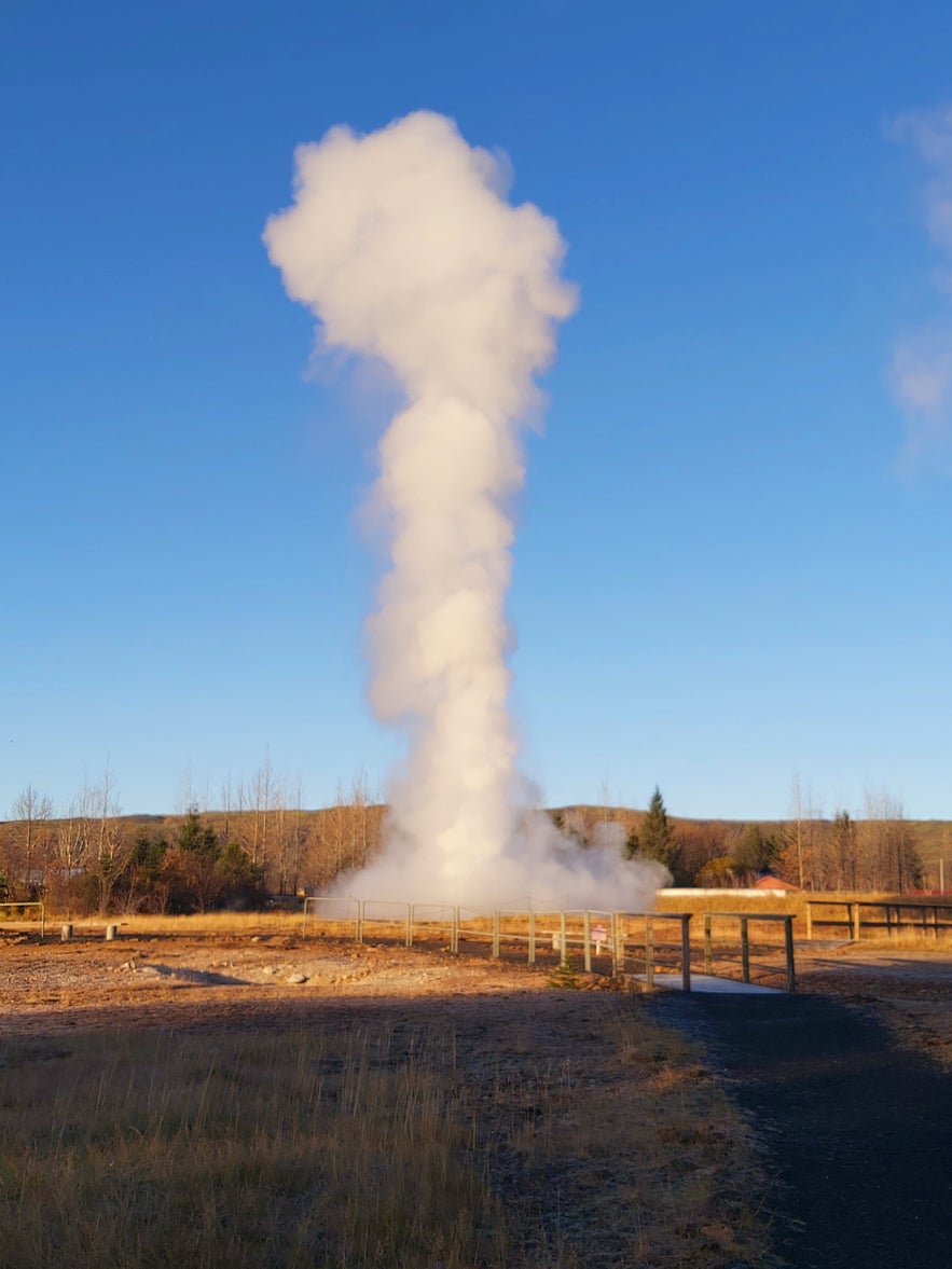 A cloud of steam rises dramatically from the ground at the Hveragerdi Geothermal Park.