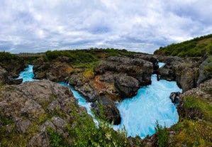 A river rushing through the lush green landscape of Borgarfjordur.