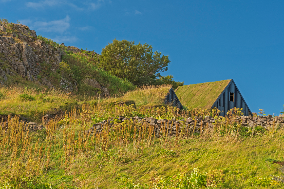 A turf house in Borgarfjordur in West Iceland during summer.